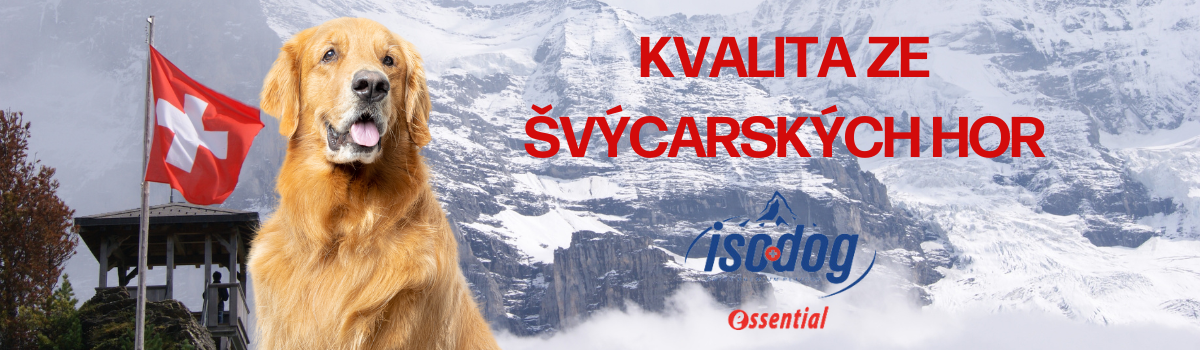 ESSENTIALČLANEK